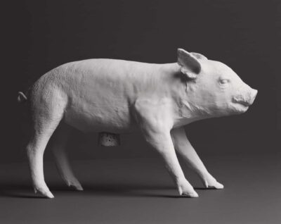 BANK IN THE FORM OF A PIG (Matte White) - Image 4