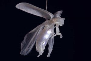 Firefly Lamp