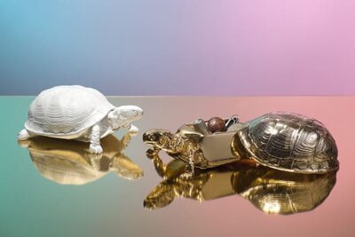 Turtle Box (Gold) - Image 6