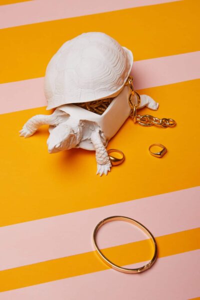 Turtle Box
