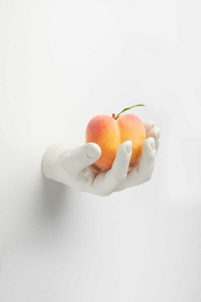 HandHook