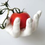HandHook