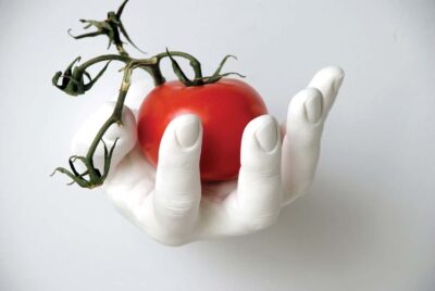 HandHook