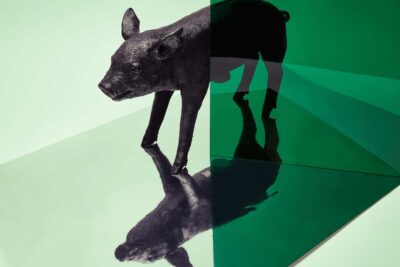 BANK IN THE FORM OF A PIG (Matte Black) - Image 3