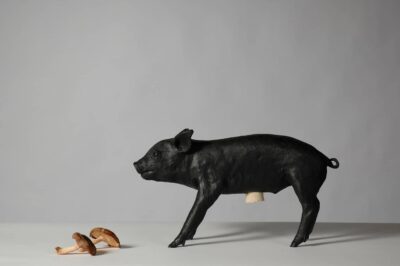 BANK IN THE FORM OF A PIG (Matte Black) - Image 4