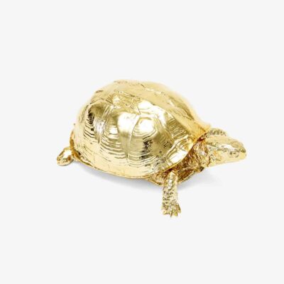 turtle boxes