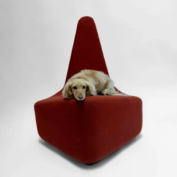 Comoso Lounge Chair