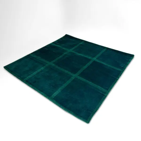 PROGRAM Rug