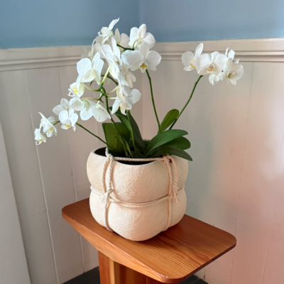 Ball & Burlap Planter