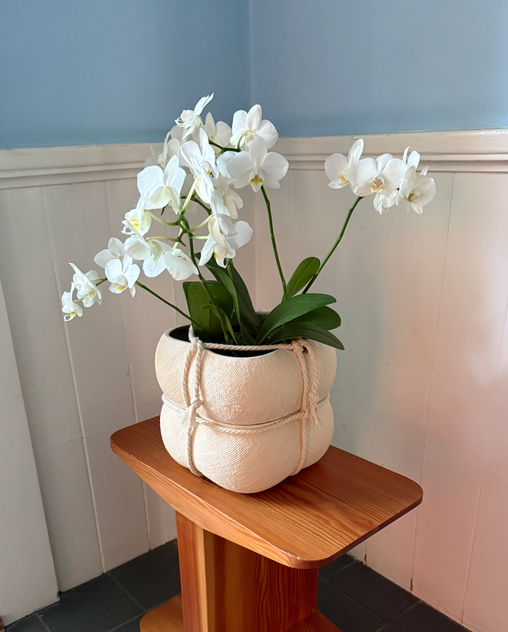 Ball & Burlap Planter