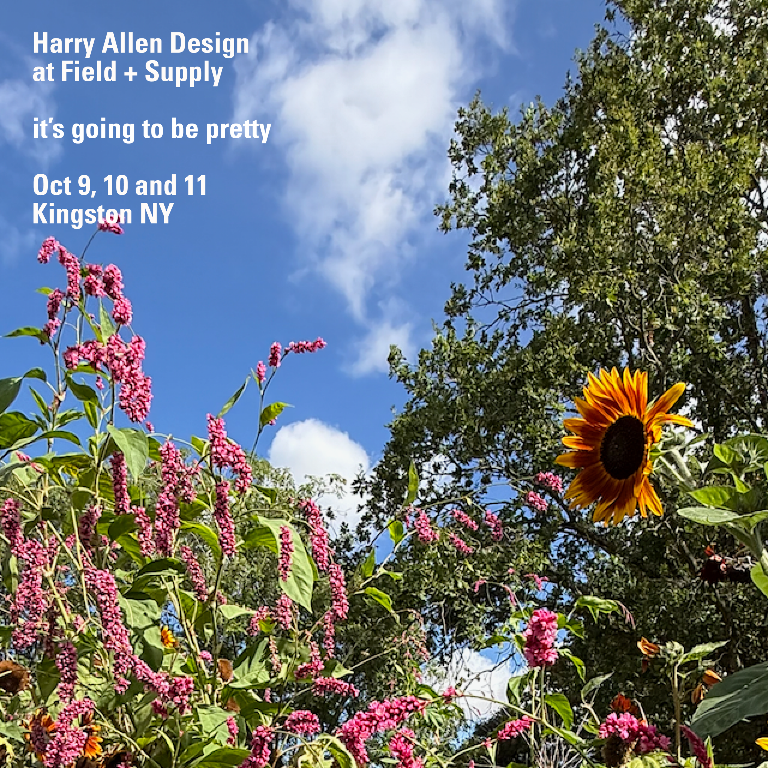 Harry Allen Design | it's going to be pretty at Field + Supply
